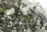 Sparkling Druzy Pyrite Crystals on Quartz and Galena - Peru #276044-1